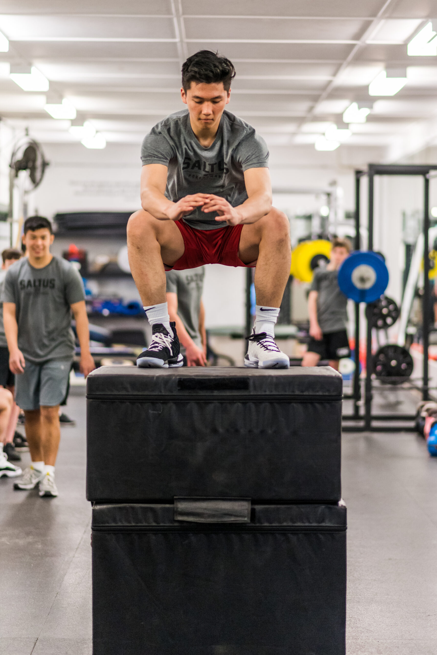 BOX JUMPS – WHY DO WE DO THEM? - Saltus Performance