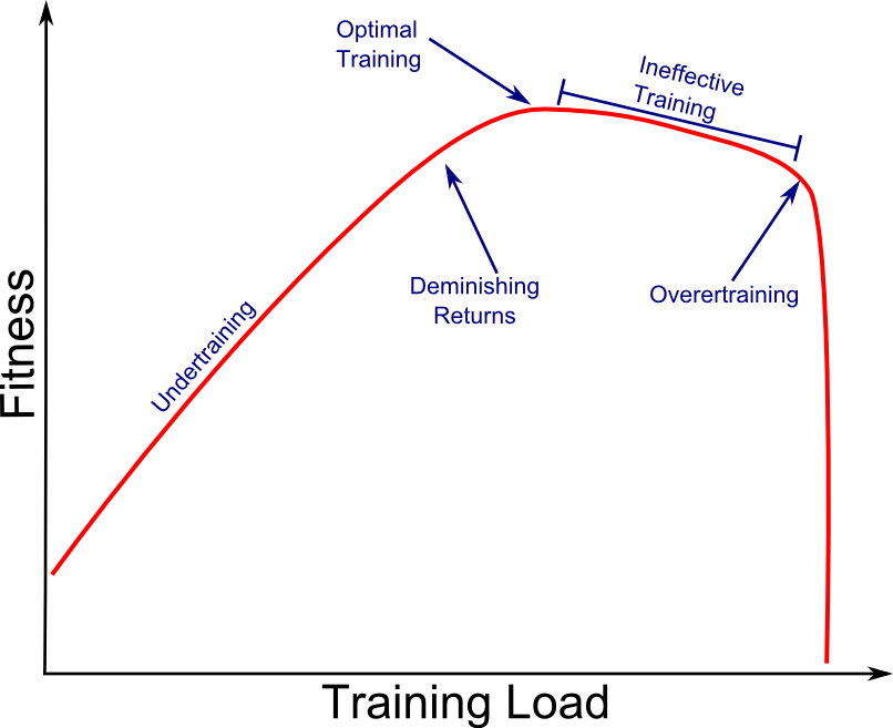 Image of relationship between the training load and fitness levels