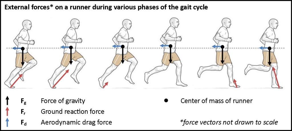 Gait-cycle-body-diagram