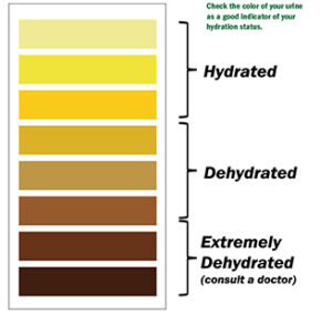 Urine Hydration Chart