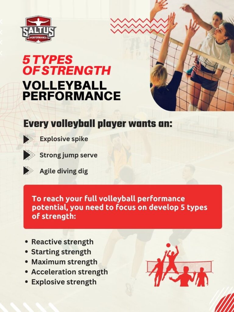 5 types of strength for volleyball performance PDF